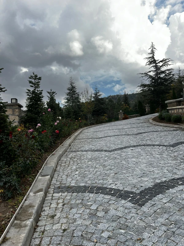 Afyon